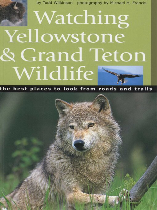 Cover image for Watching Yellowstone and Grand Teton Wildlife